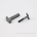 Hot Dip Galvanized High Tension T Type Bolt